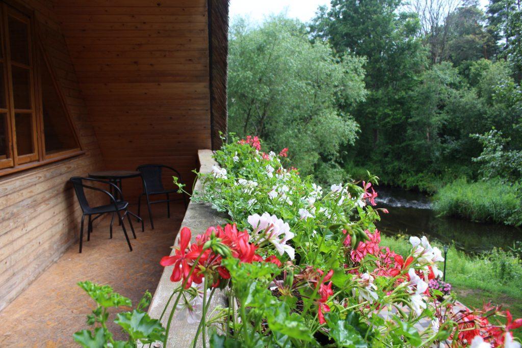 Hotel Viesu Nams Barzi Tinuzi Exteriér fotografie